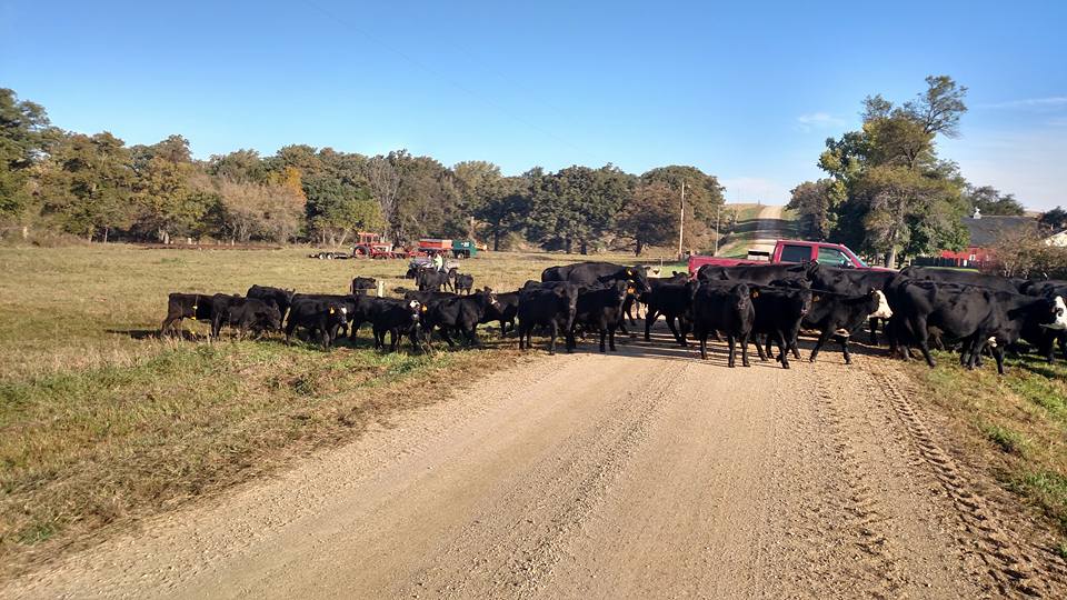 516599467_10231108755844683_558655964409766715_n